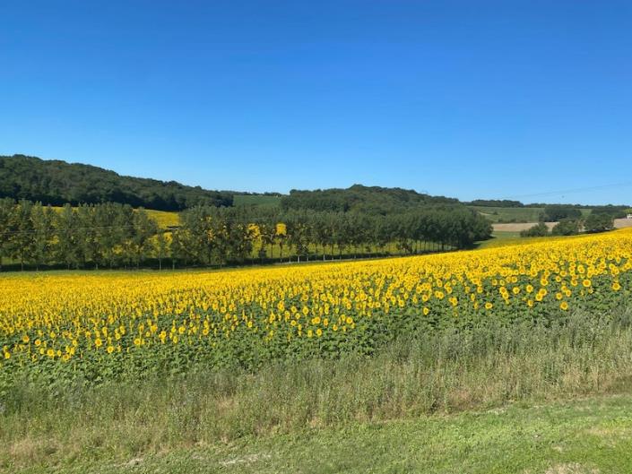 Image No.9-2 Bed Country House for sale