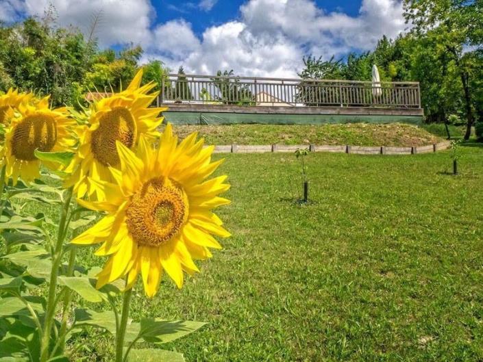 Image No.11-2 Bed Country House for sale