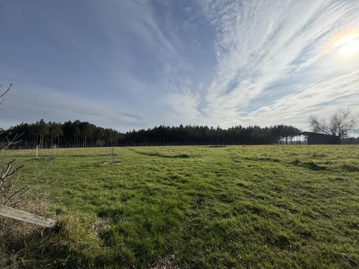 Image No.2-5 Bed Country House for sale