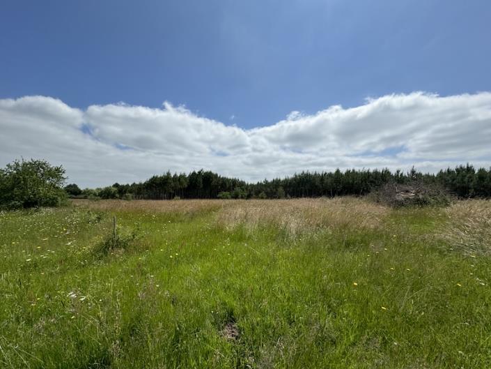 Image No.6-5 Bed Country House for sale