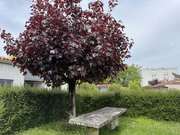 Image No.3-3 Bed House for sale