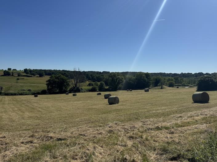 Image No.4-Barn for sale