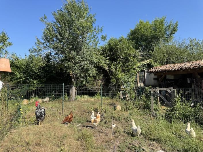 Image No.14-4 Bed Country House for sale