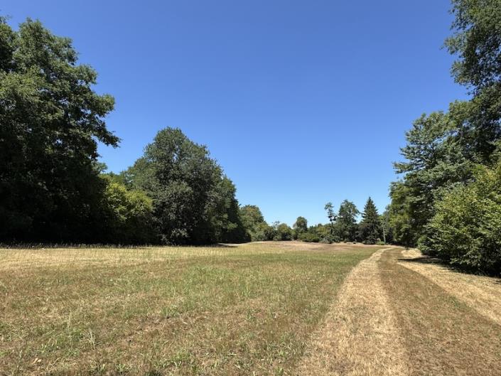 Image No.16-5 Bed Country House for sale