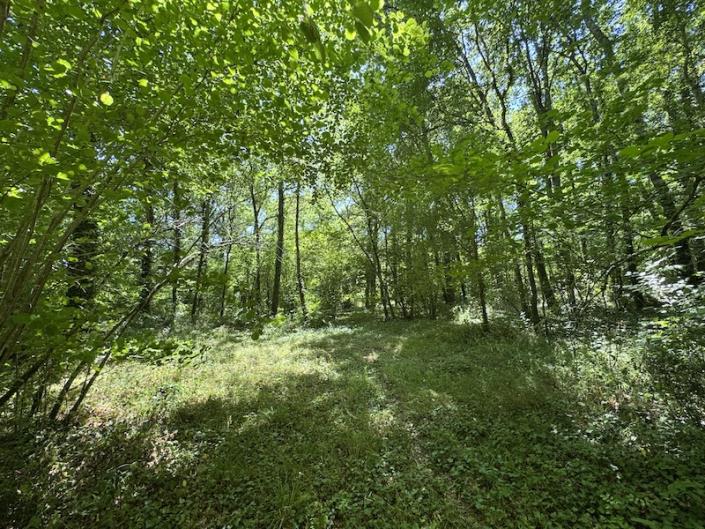 Image No.17-5 Bed Country House for sale