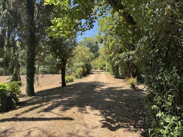 Image No.19-5 Bed Country House for sale