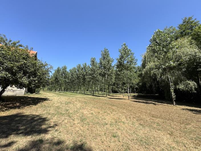 Image No.21-5 Bed Country House for sale