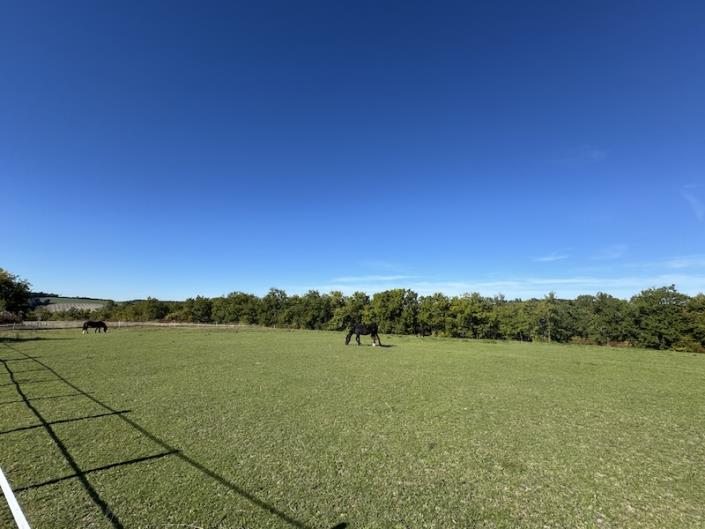 Image No.8-6 Bed Country House for sale