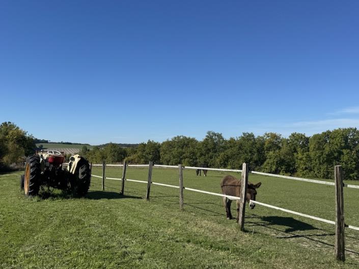 Image No.3-6 Bed Country House for sale