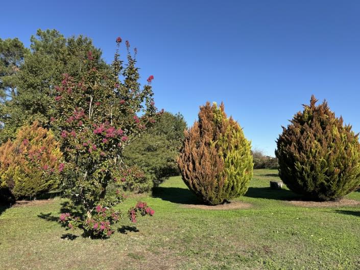 Image No.11-3 Bed Country House for sale