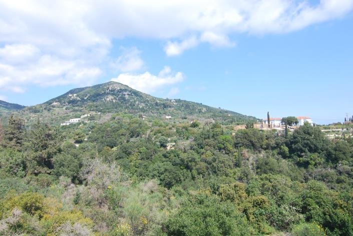 Image No.17-2 Bed Villa for sale