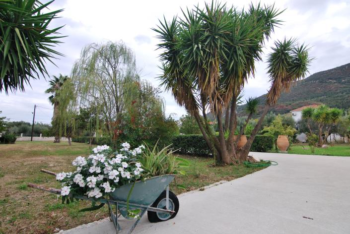 Image No.23-3 Bed Villa for sale