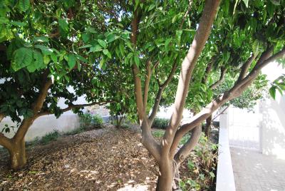 Villa_for_sale_Katelios_Kefalonia--12-