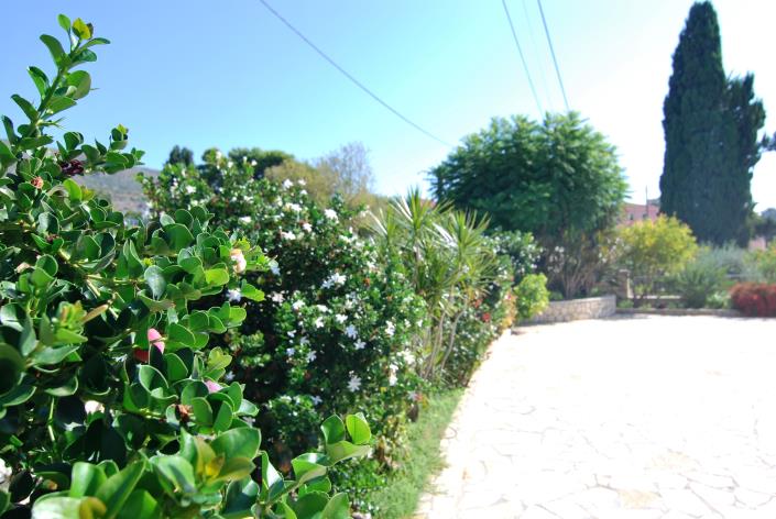 Image No.9-2 Bed Villa for sale