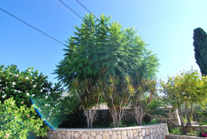 Image No.11-2 Bed Villa for sale