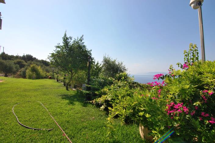 Image No.5-Commercial for sale