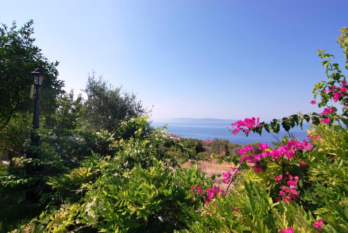 Image No.17-Commercial for sale