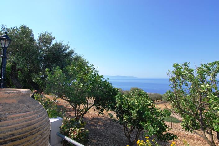 Image No.33-Commercial for sale