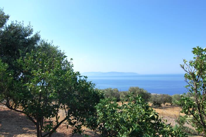 Image No.34-Commercial for sale