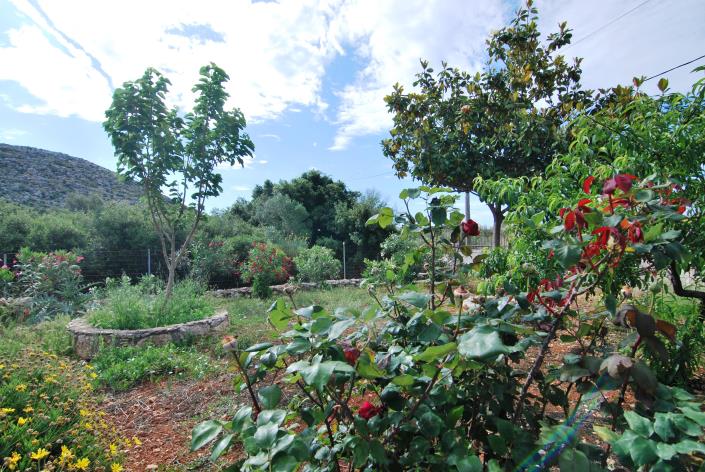 Image No.10-2 Bed Villa for sale