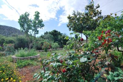 House_for_sale_in_Karavados_Kefalonia--91-