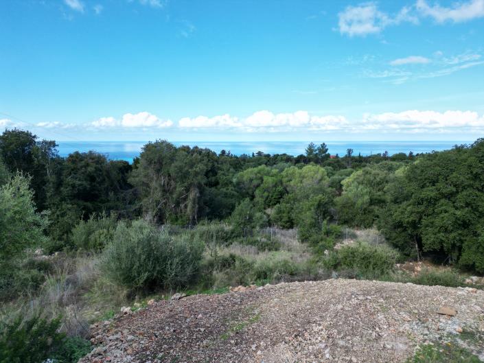 Image No.1-Land for sale