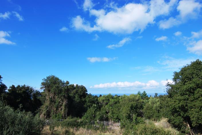 Image No.9-Land for sale