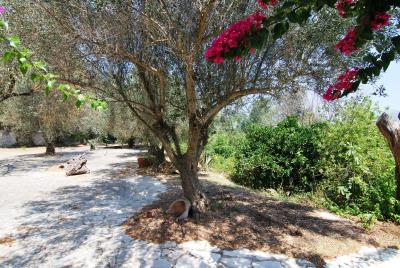 Villa_for_sale_in_Havdata_Kefalonia--32-