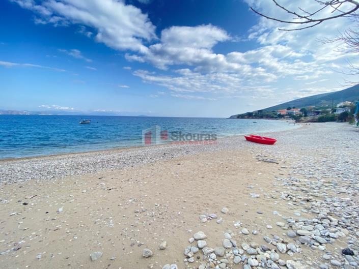 Image No.25-4 Bed House for sale