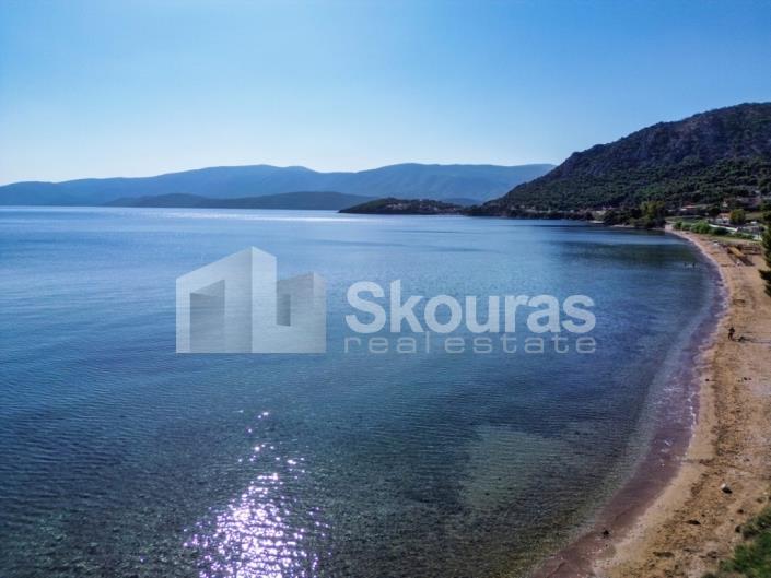 Image No.7-5 Bed House for sale