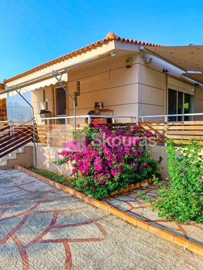 Image No.20-5 Bed House for sale