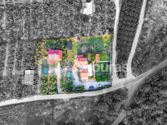 Image No.25-5 Bed House for sale