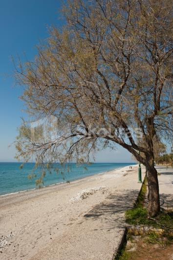 Image No.16-2 Bed House for sale