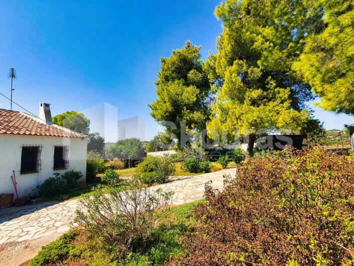 Image No.16-3 Bed House/Villa for sale