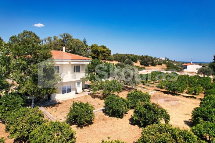 Image No.28-4 Bed House/Villa for sale