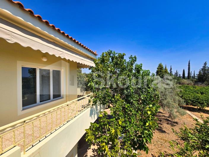 Image No.24-4 Bed House/Villa for sale