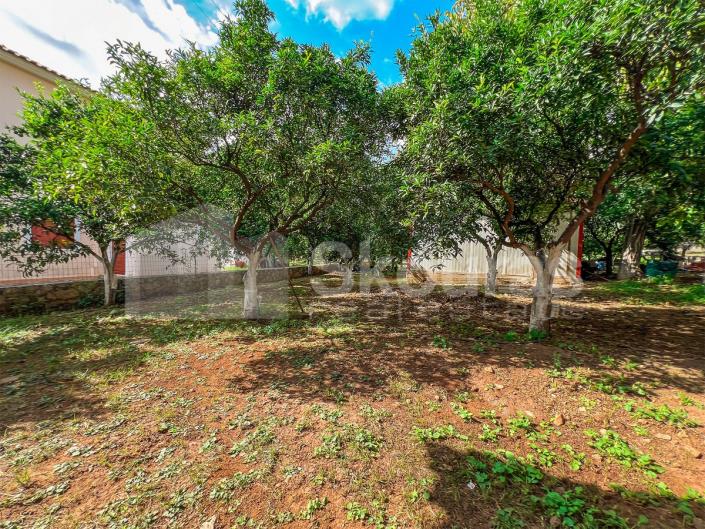 Image No.25-3 Bed House for sale