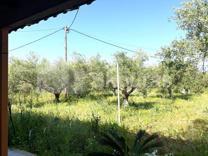 Image No.21-2 Bed House for sale