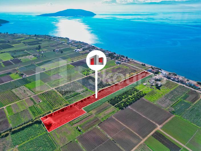 Image No.5-2 Bed House for sale