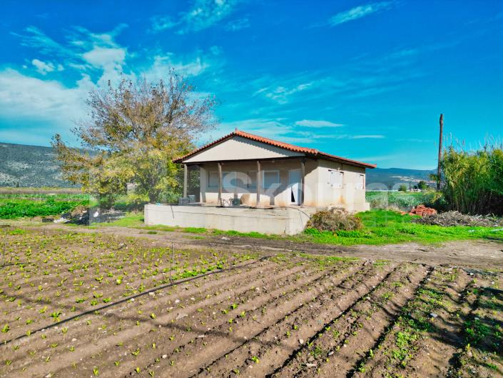 Image No.12-2 Bed House for sale