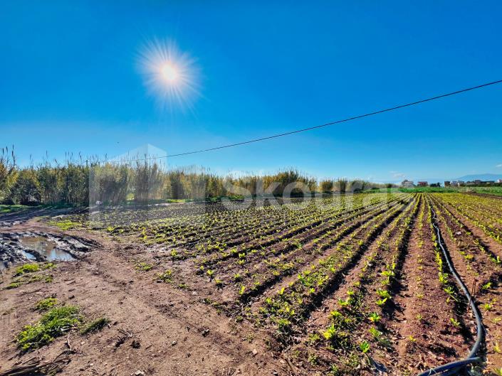 Image No.16-2 Bed House for sale