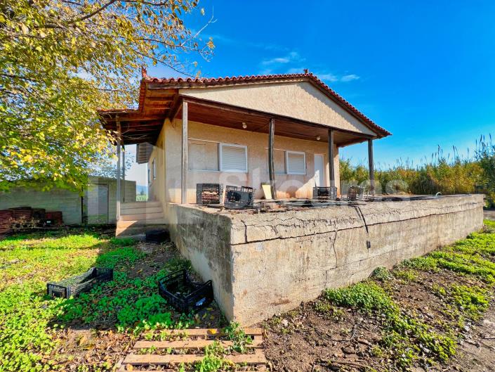 Image No.15-2 Bed House for sale