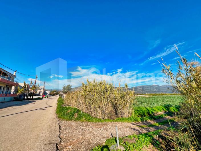 Image No.19-2 Bed House for sale