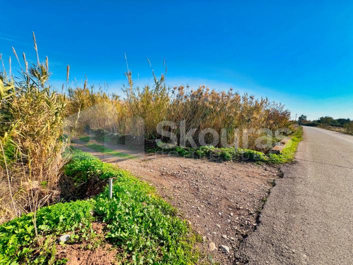 Image No.25-2 Bed House for sale