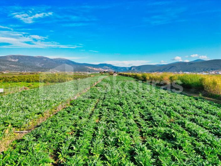 Image No.6-2 Bed House for sale