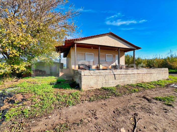 Image No.14-2 Bed House for sale