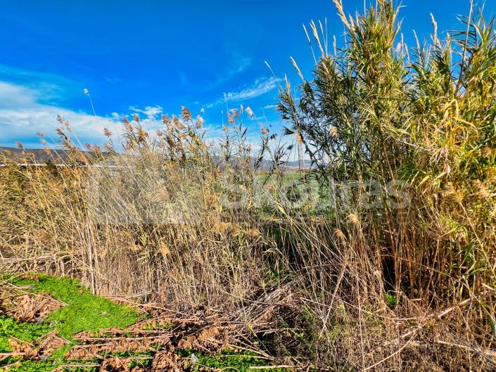 Image No.21-2 Bed House for sale