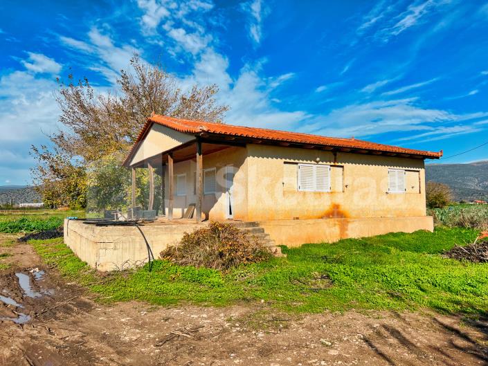 Image No.18-2 Bed House for sale