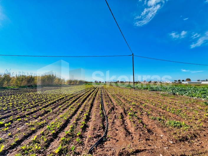 Image No.11-2 Bed House for sale