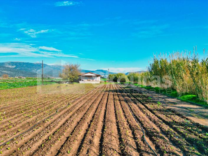 Image No.17-2 Bed House for sale